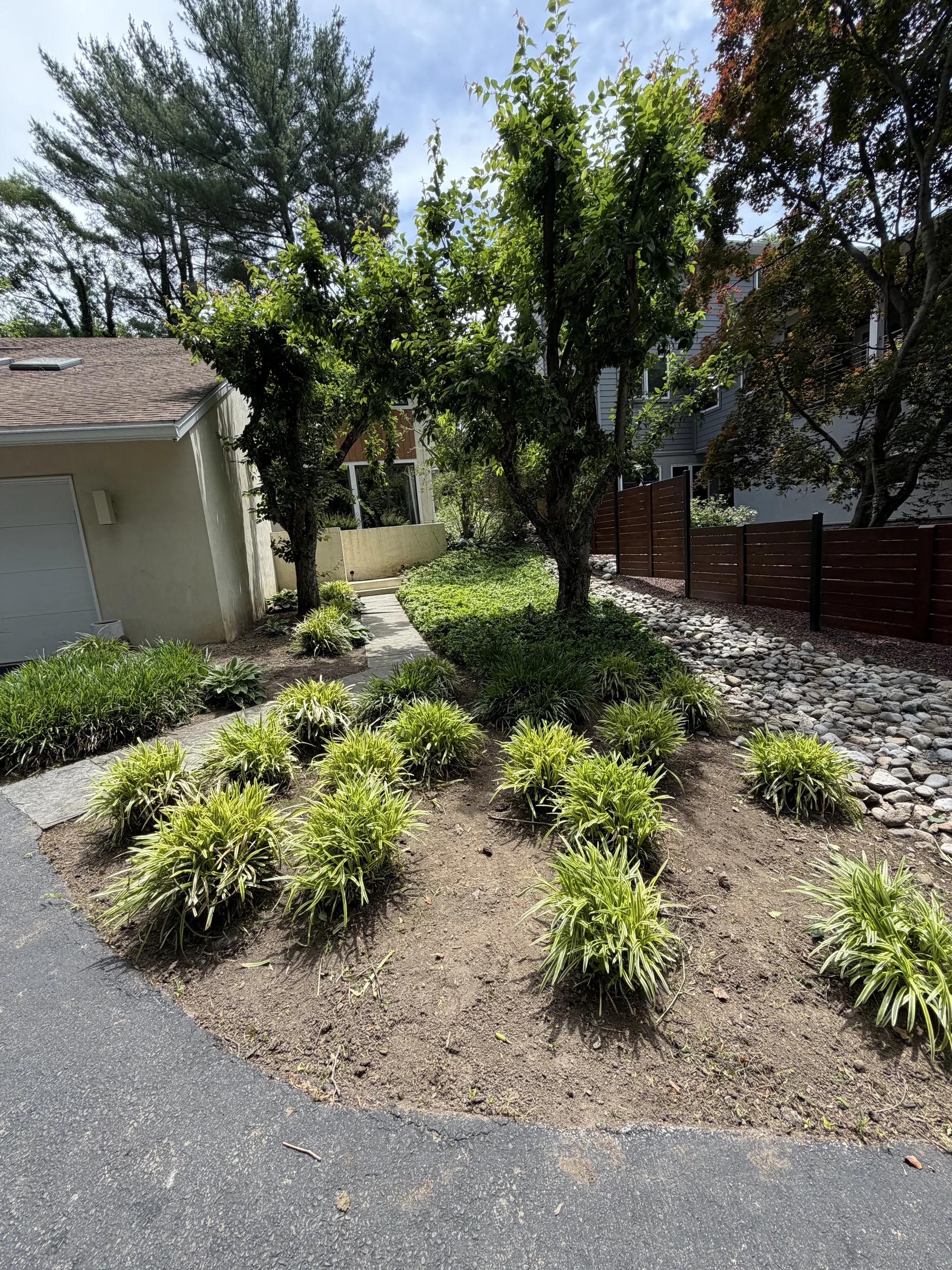 Ground Cover Install