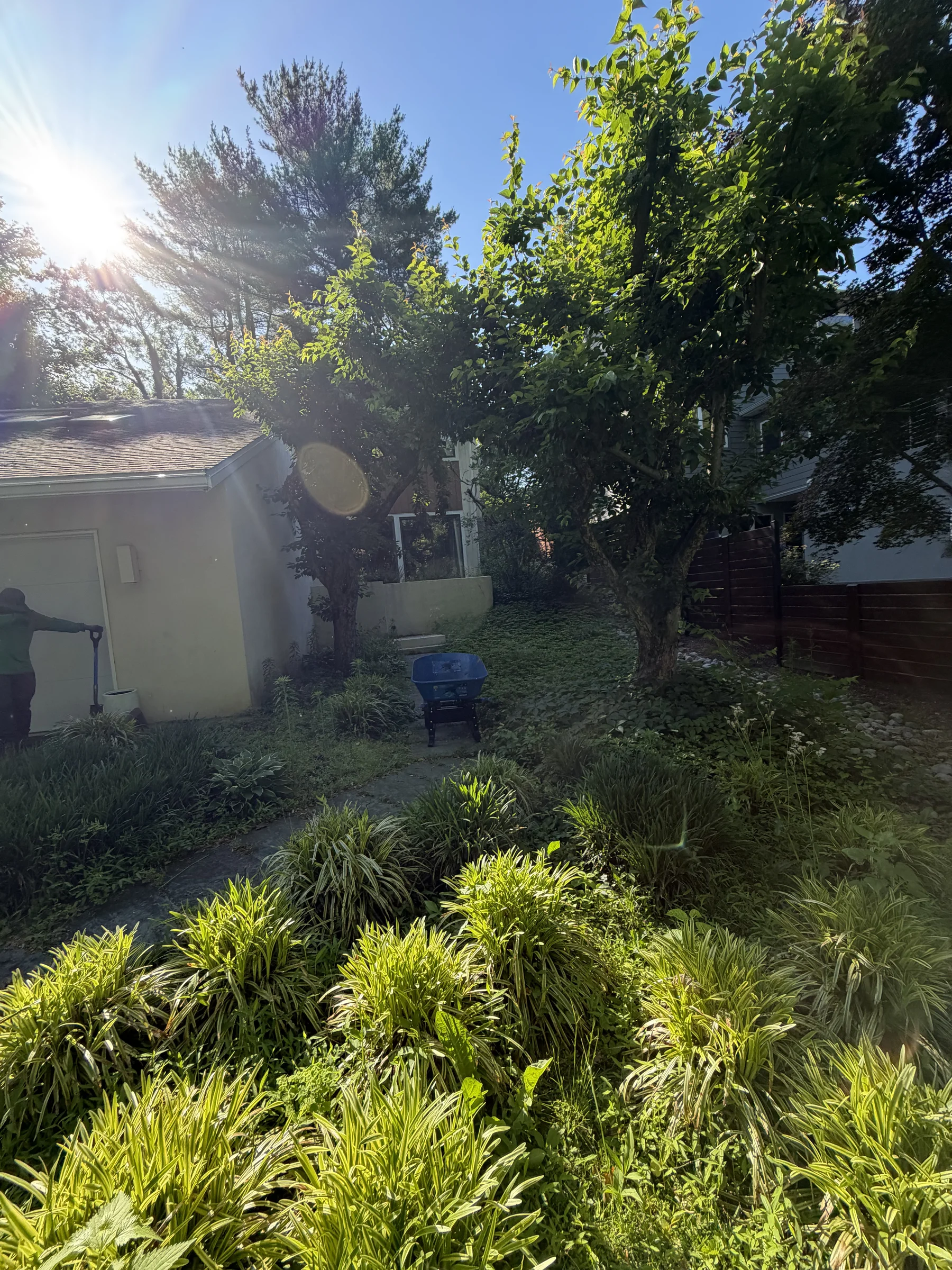 Property Cleanup