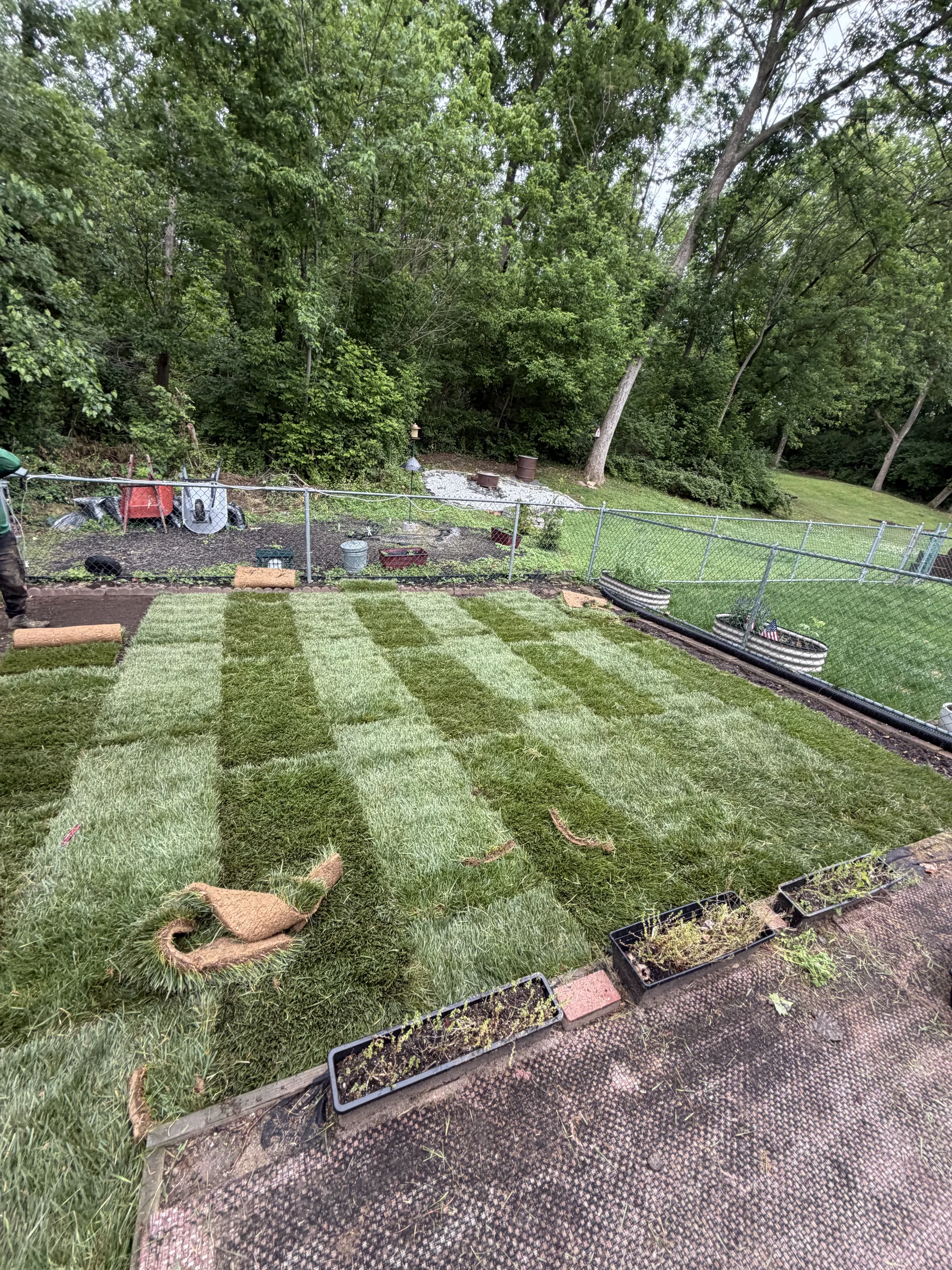 Lawn Mowing