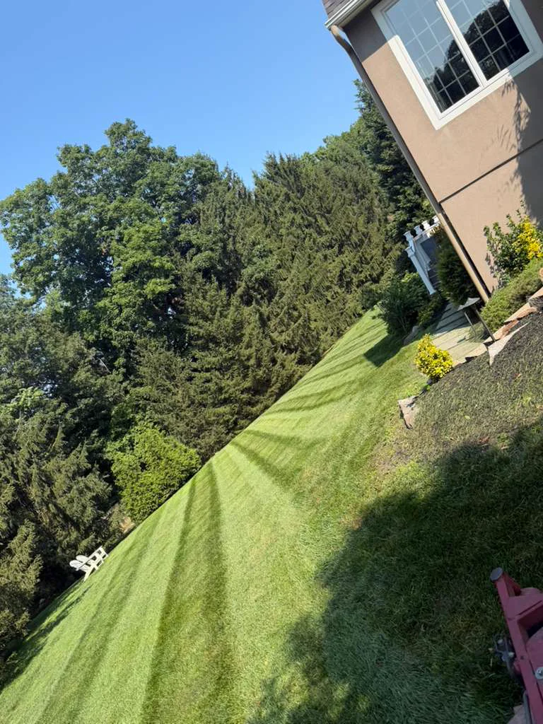Residential lawn mowing with clean cut stripes in Havertown PA by Green Life Landscape Services