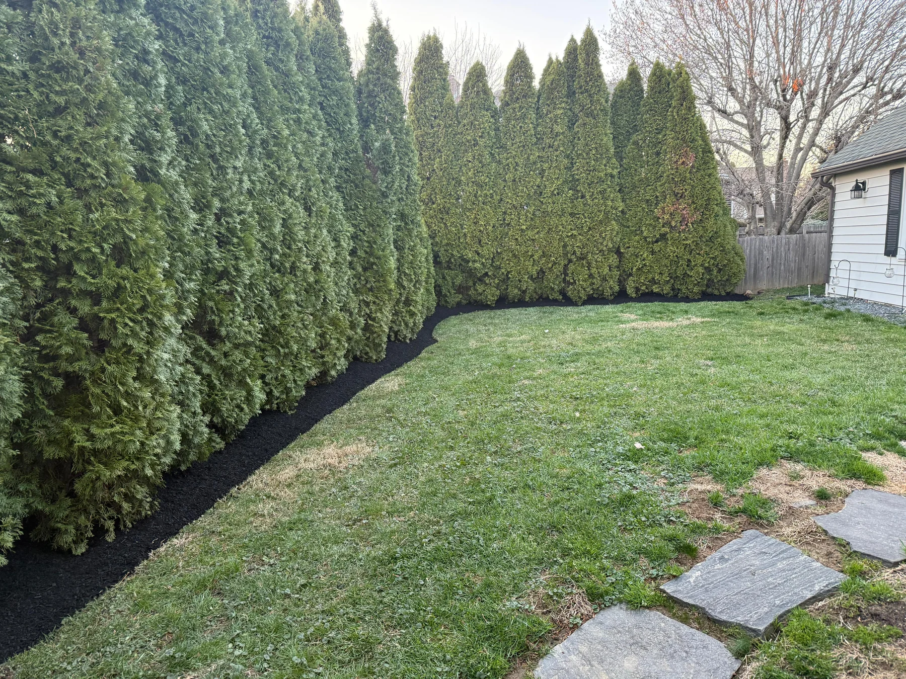 Mulch Beds